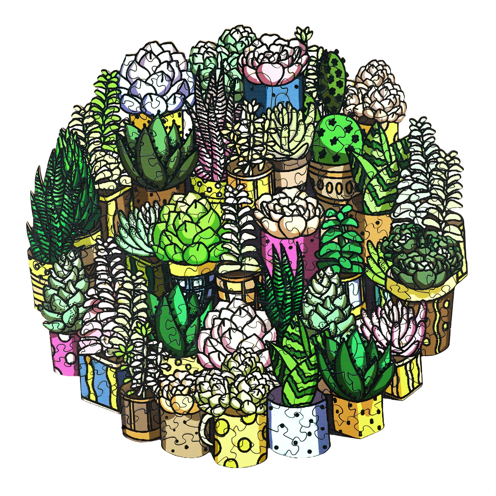 Read more about the article Wooden Jigsaw Puzzle-SUCCULENT PLANT 66cf87e50f9c0